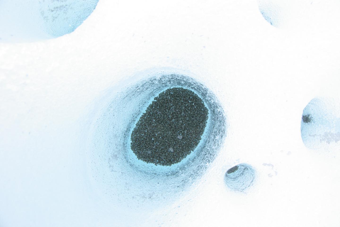 viruses on Glaciers provide evidence of recombination in environment
