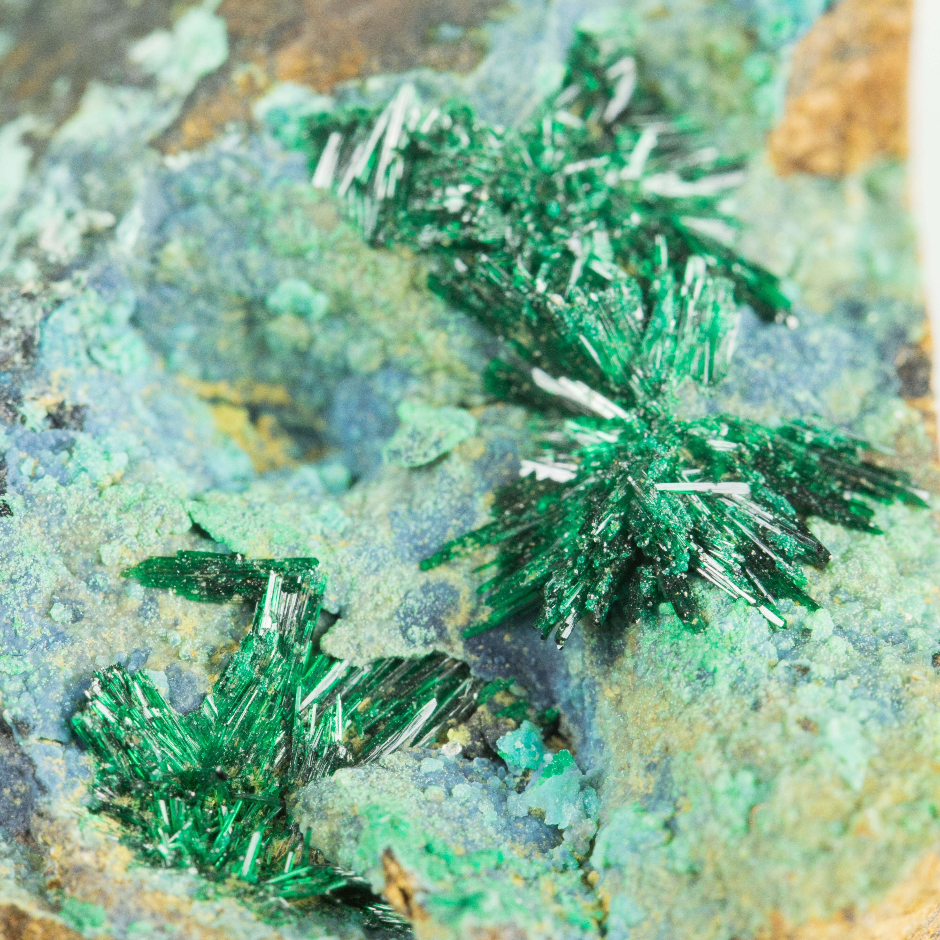 The Daily Dose: A Chinese COVID-19 vaccine available in November; Microbes suck moisture from inside rocks.