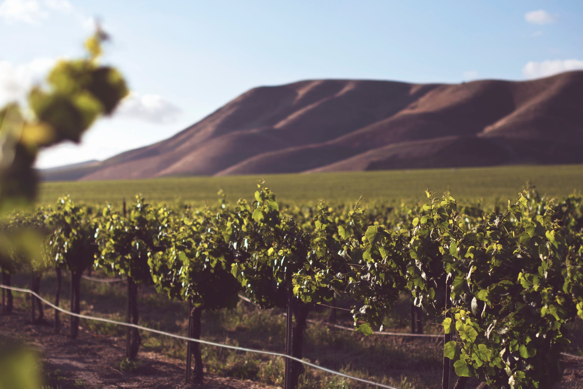 Creative selection can play a big role in soil protection