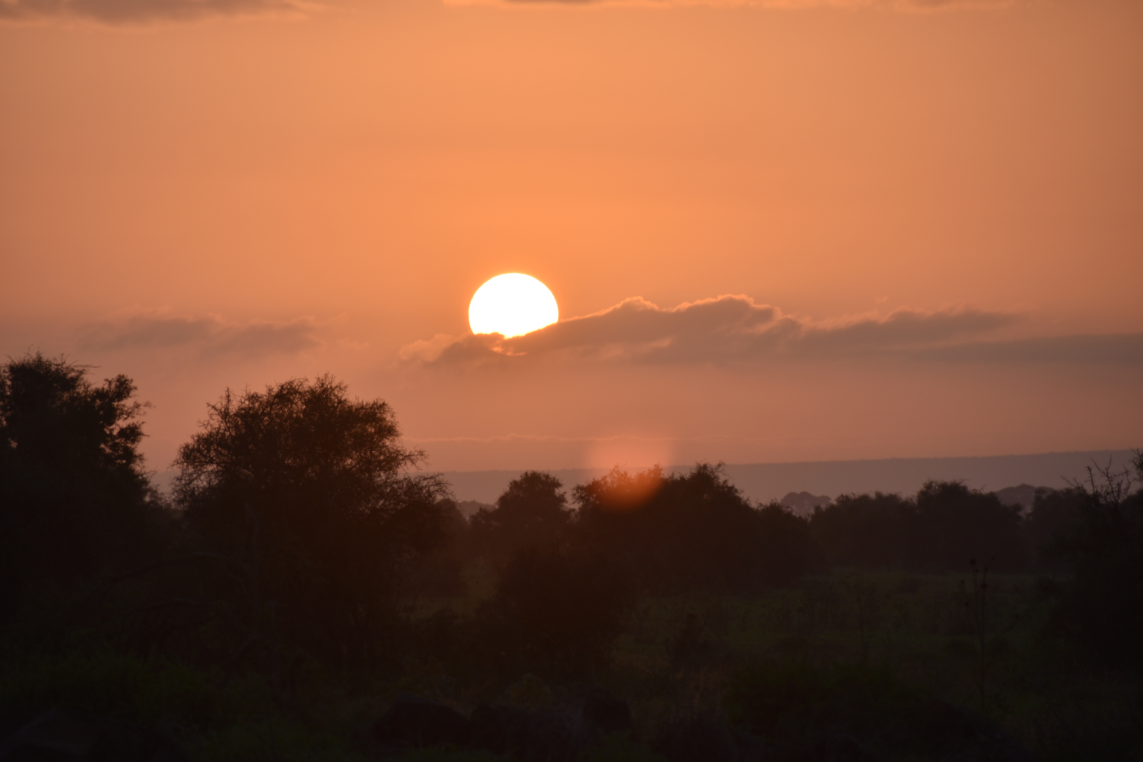 An unpredictable environment spurred ancient humans to maake drastic adaptations.