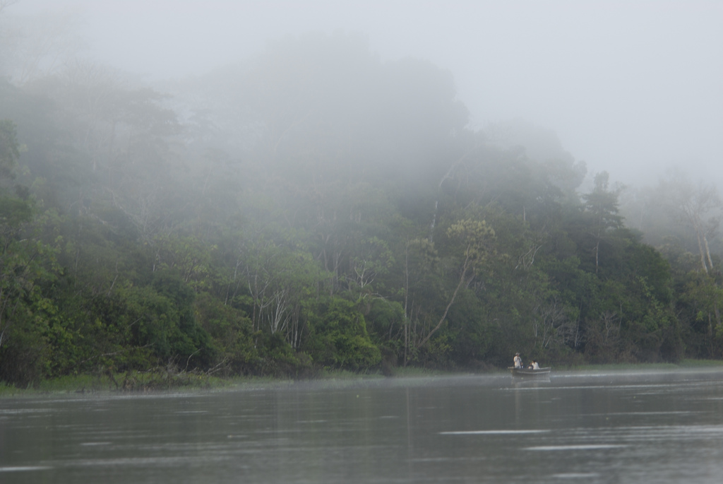 Scientists turn to modern Amazon animals for clues about ancient relatives.