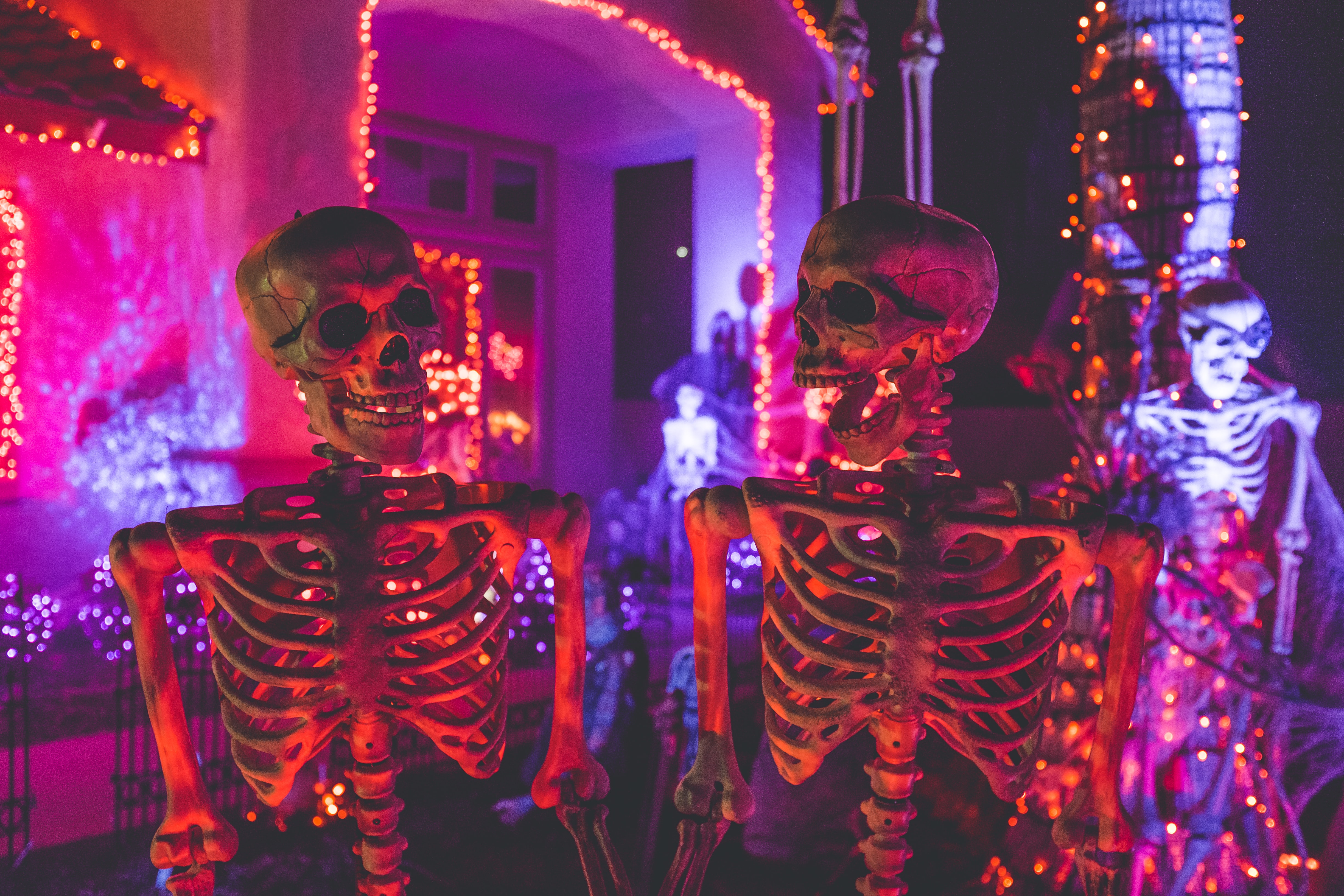 Haunted house study charts how the body reacts to being scared (fun) vs terrified (not fun).