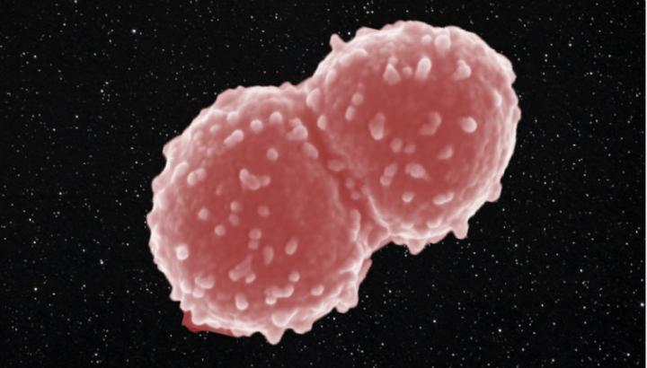 Some microbes are surprisingly resilient in outer space.