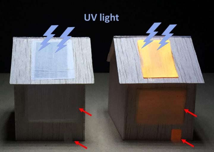 Future homes may incorporate luminescent wood.