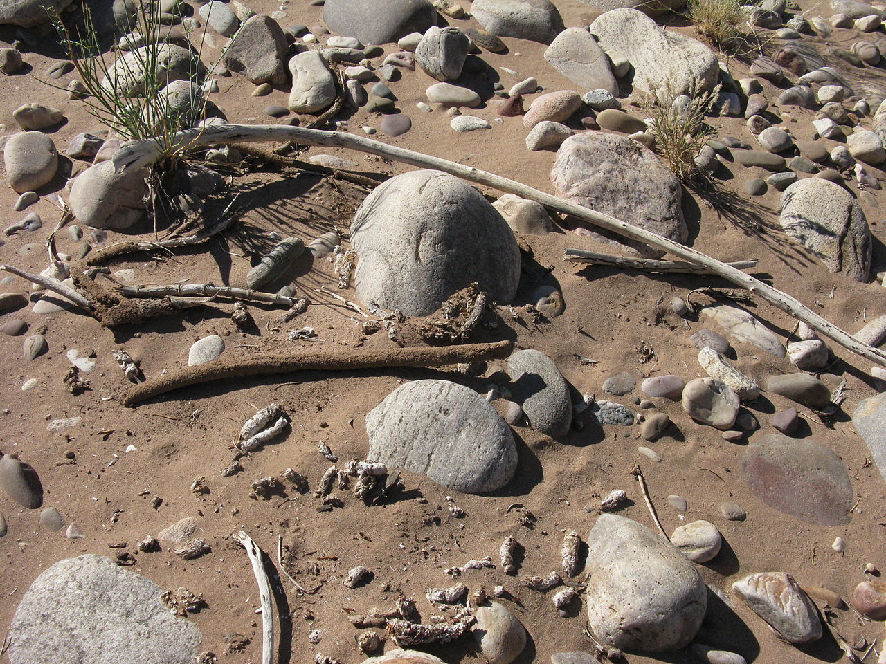 Researchers explore dynamics of microplastics travelling through soil.