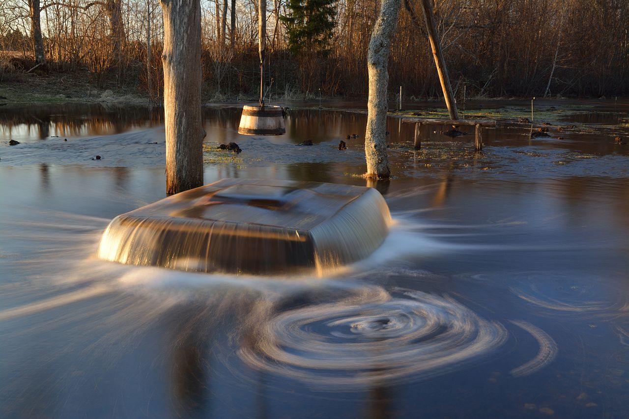 Water has different liquid states, study.