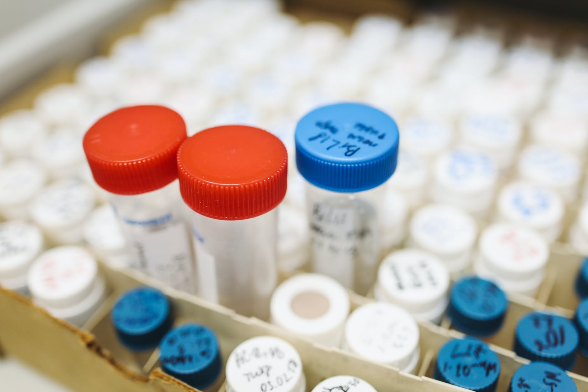 test tubes in laboratory