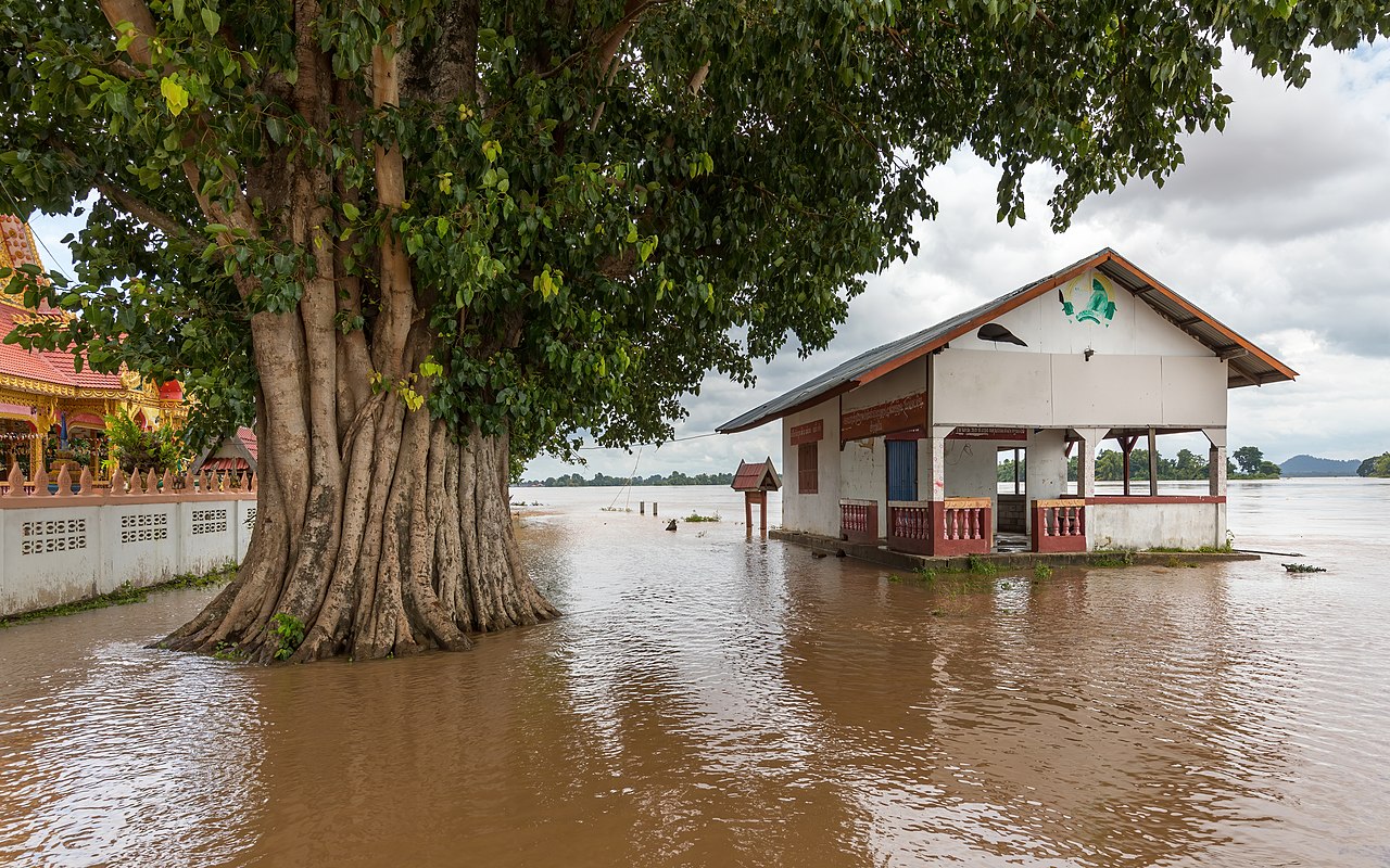 Stopping the next pandemic should start with addressing climate change.