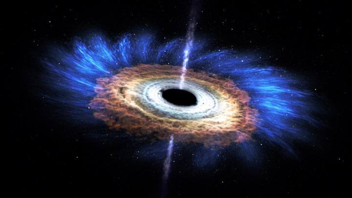 Black hole plasma jets destined for molecular torus.