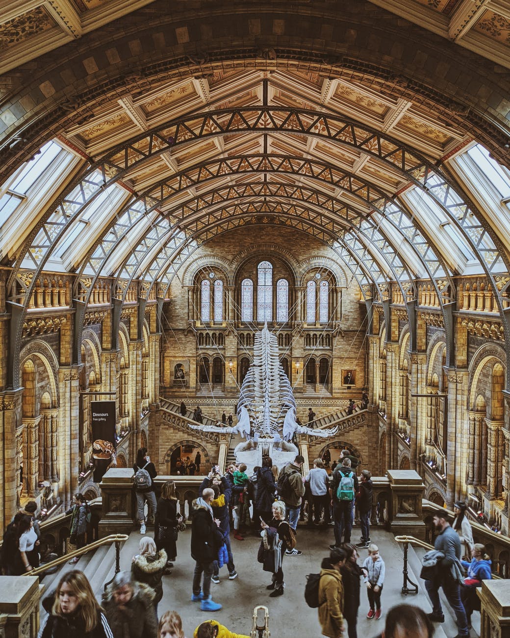 Museums have a role to play on future emerging disease surveillance.