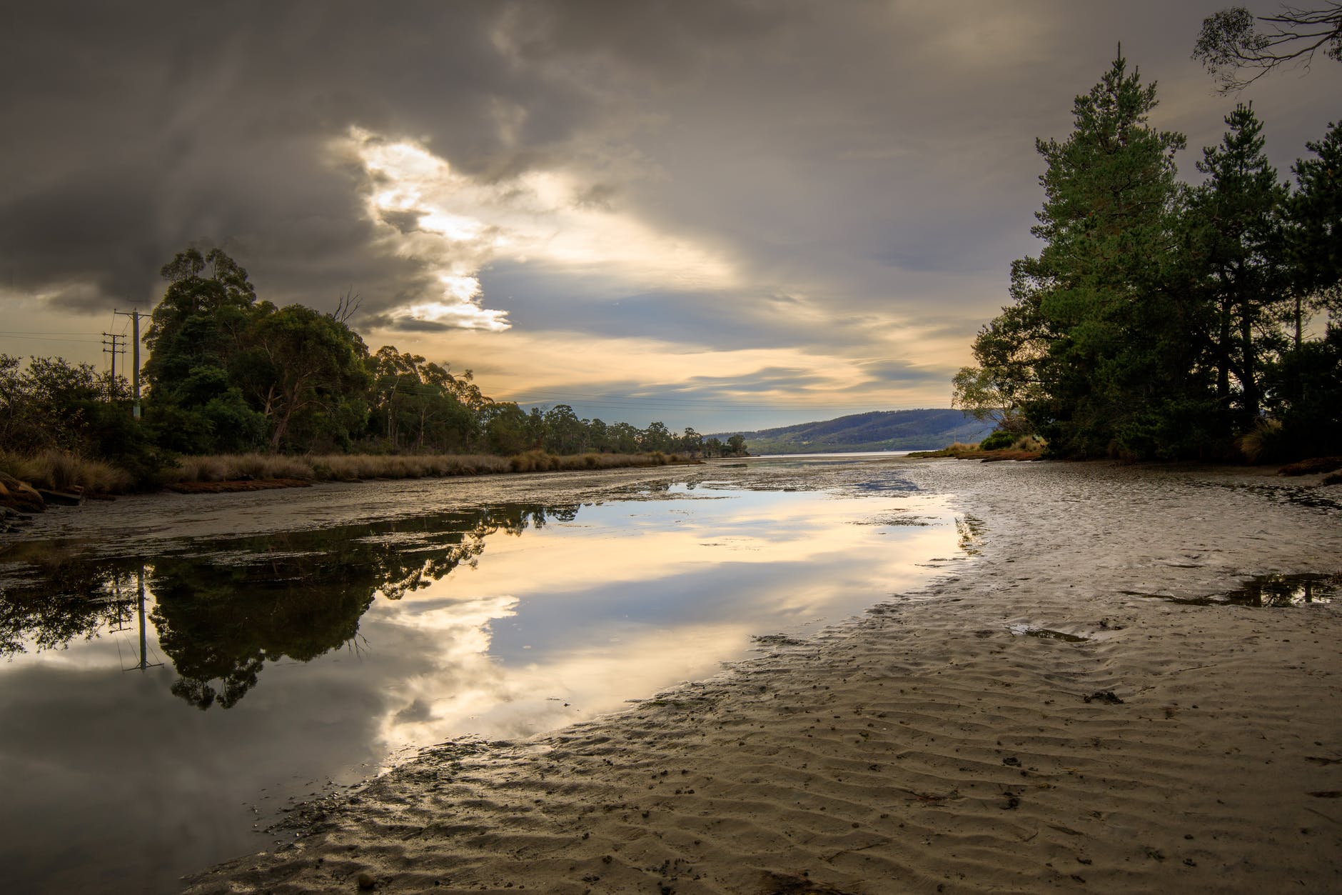 Sludge beating bacteria make biodegradable plastic.