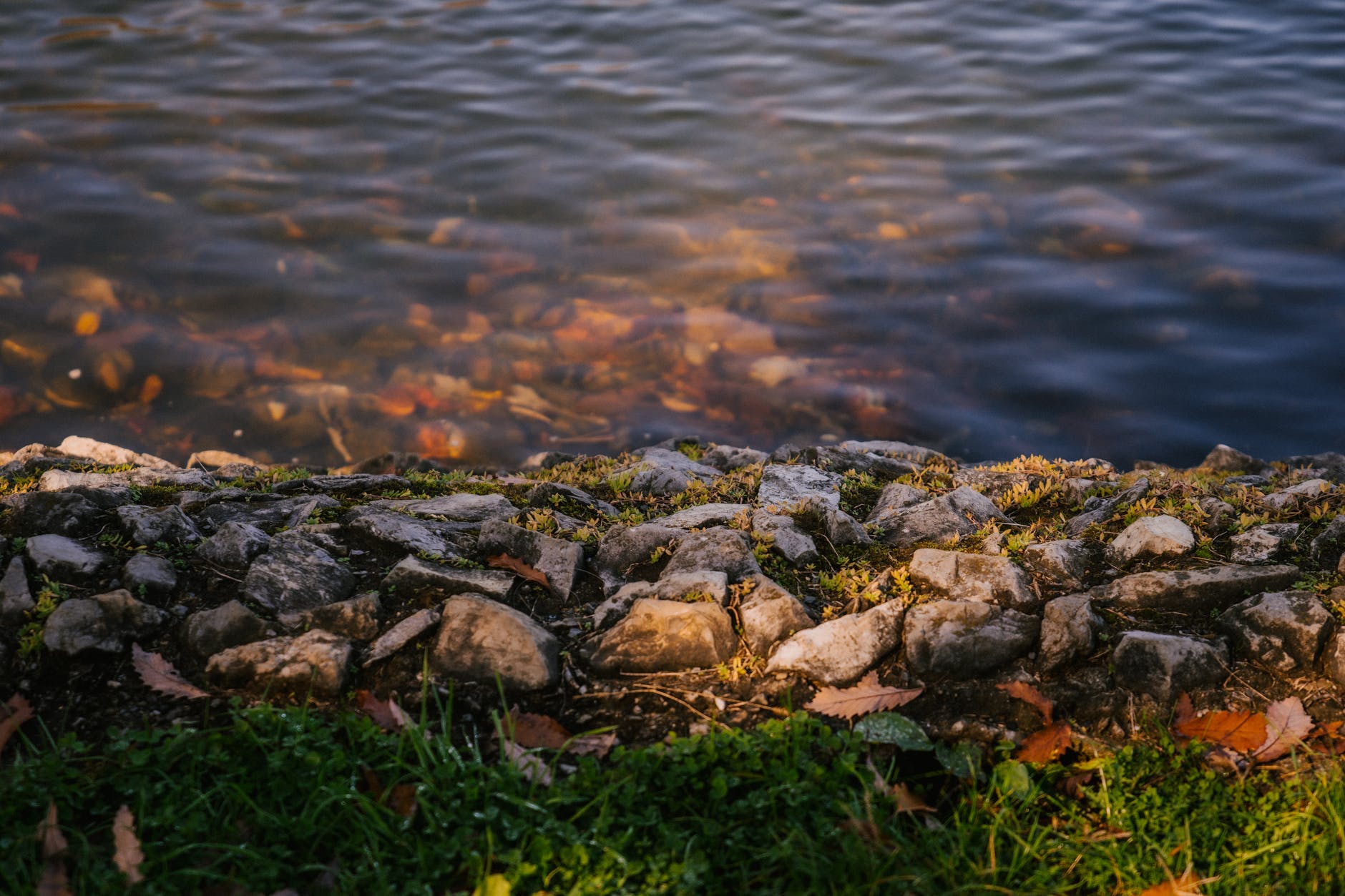 Low oxygen in lakes and rivers is a growing problem.