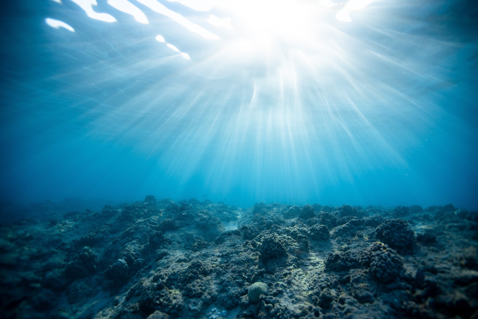 Plastics can be found deep in the ocean.