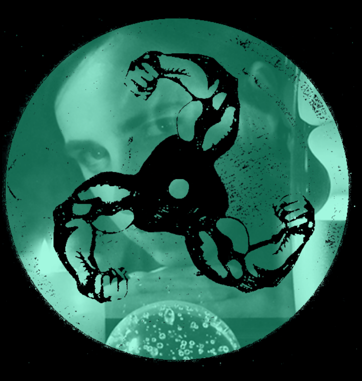 MONO: “Apricots” by Bicep.