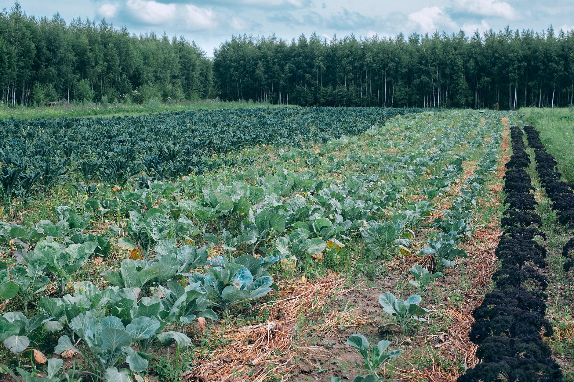 The Daily Dose: Big Tech is moving into agriculture and not everyone’s thrilled about it.