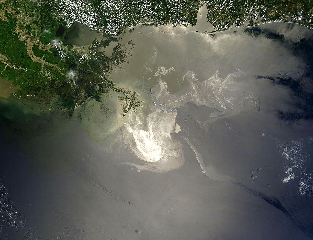 Recyclable polymer can be used to clean oil spills easily.