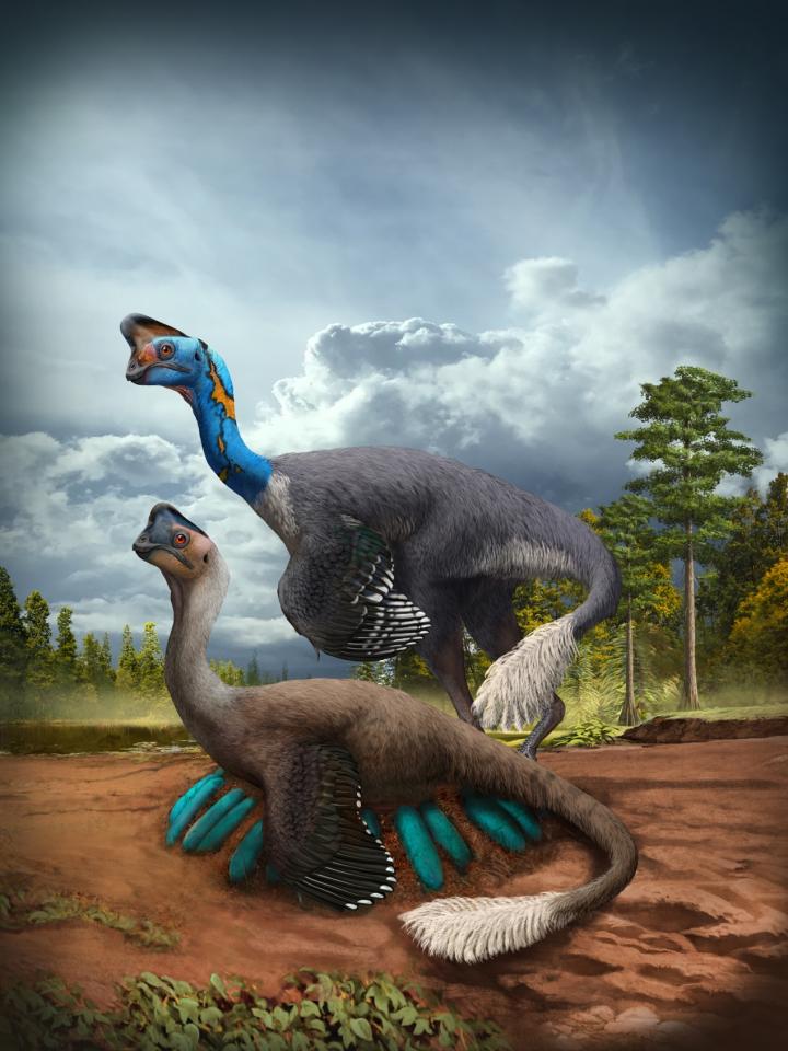 Dinosaur fossil discovered in nest with eggs.