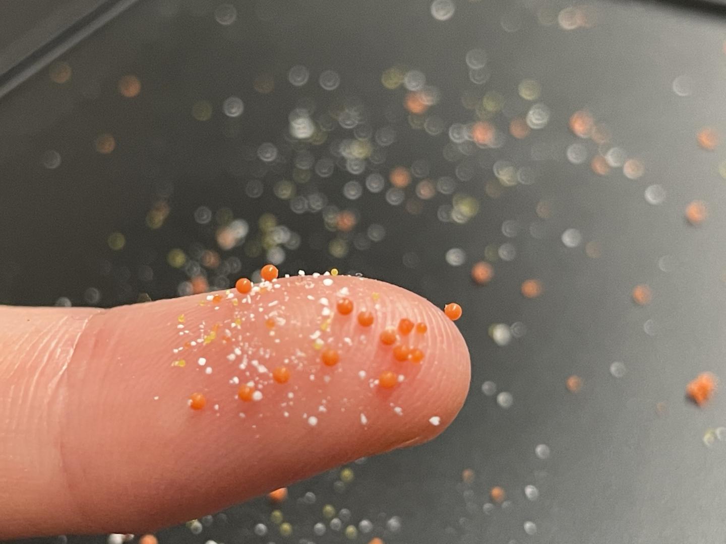 Microplastics provide shelter for resistant bacteria.