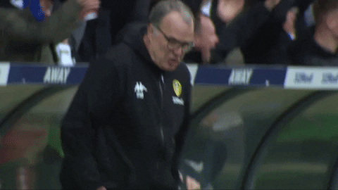 DATA DEPENDENT: Marcelo Bielsa’s Leeds United compared to peers.