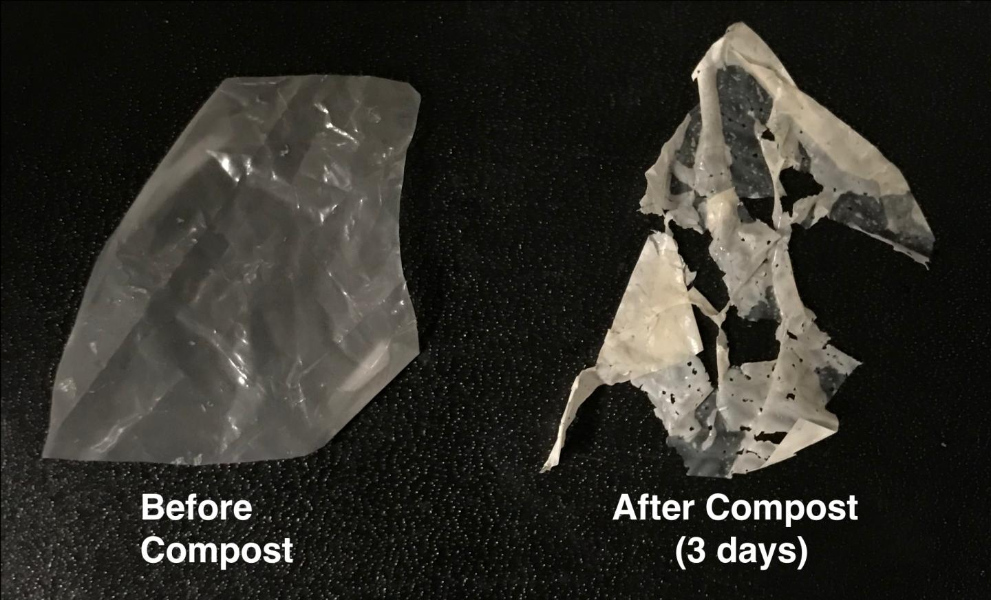 New biodegradable plastic comes with self-destruction enzymes.