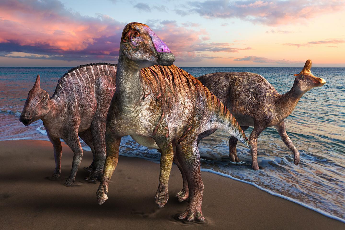 Duck-billed dinosaur fossil discovered in Japan.