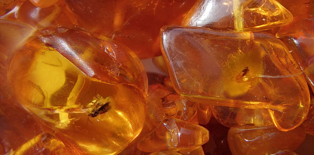 Baltic amber shown to have antibacterial properties.