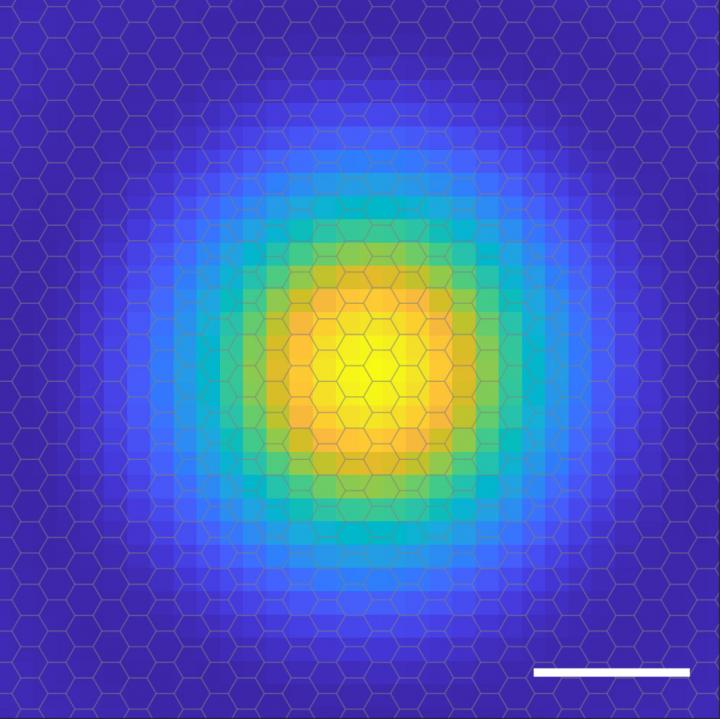 Scientists capture snapshot of excitons’  internal orbits.