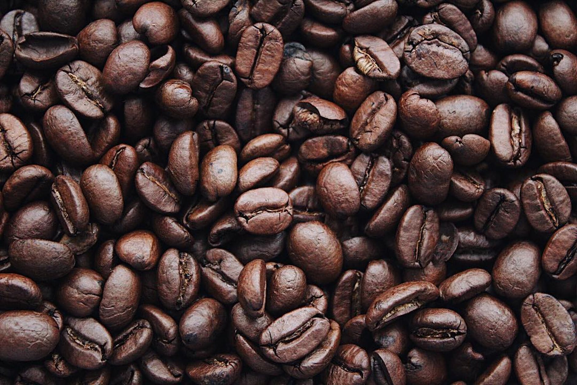 Climate change and Columbian coffee: Altitude makes a world of difference.