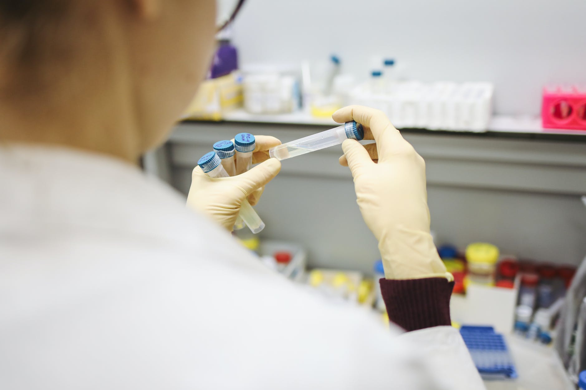 Researchers make a map of COVID-19 cell pathology.
