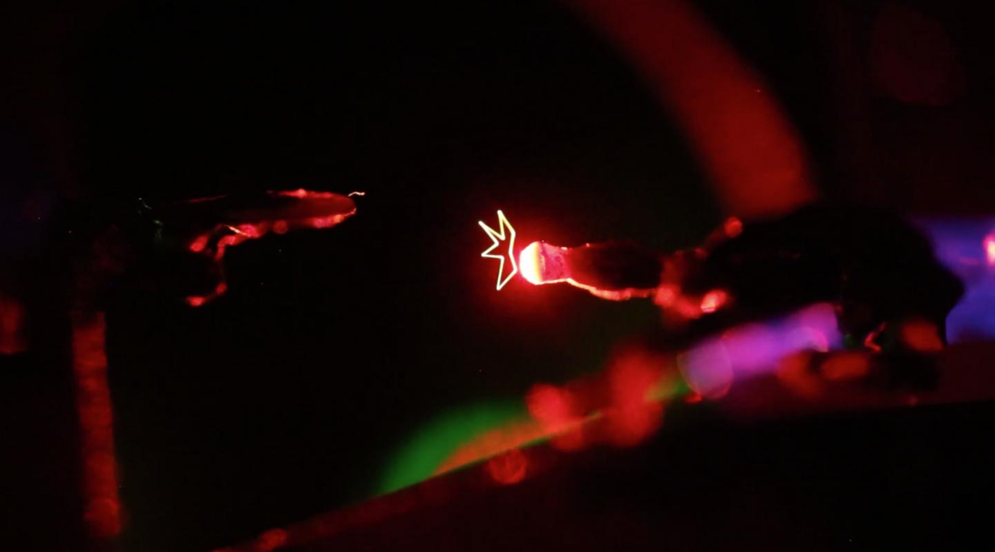Real life holograms that move in the air.