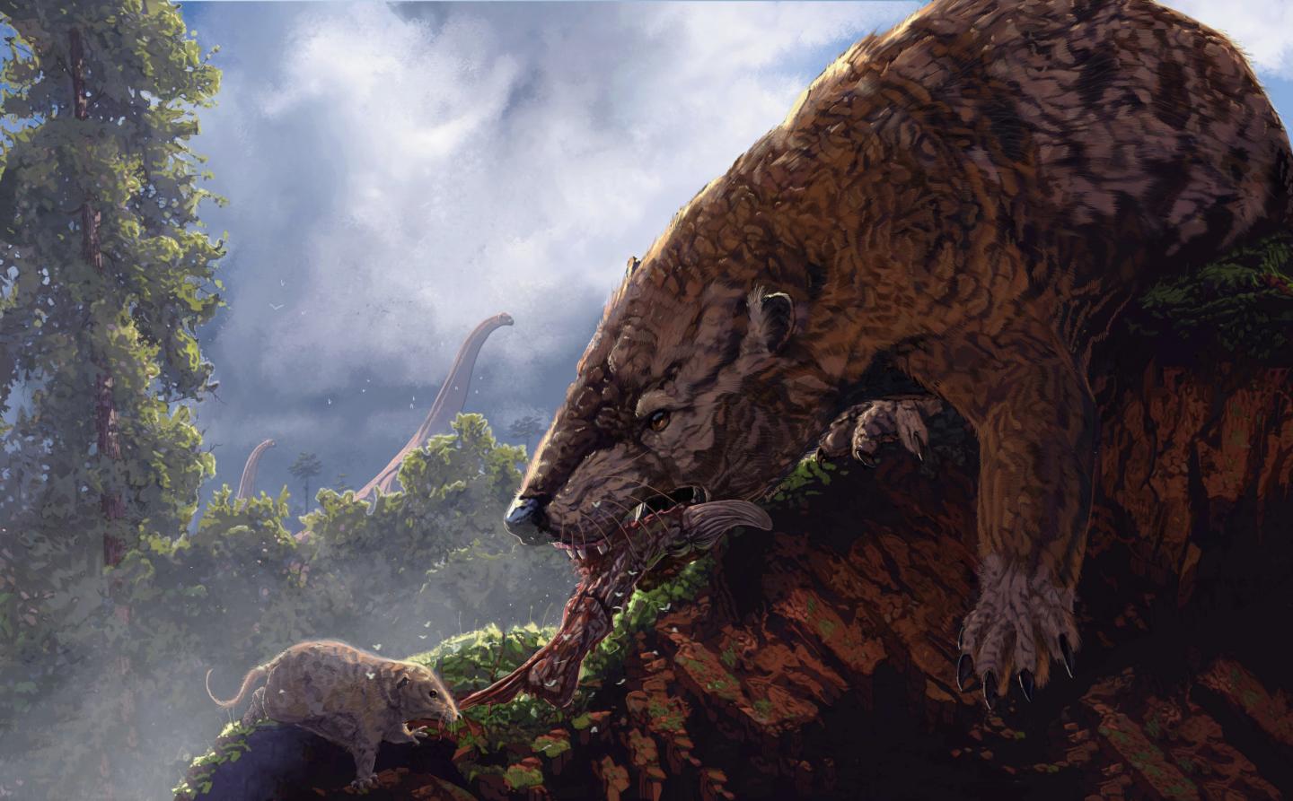 Dinosaurs may not have been the ones holding mammals back.