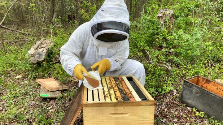New tech saves bees from pesticides.
