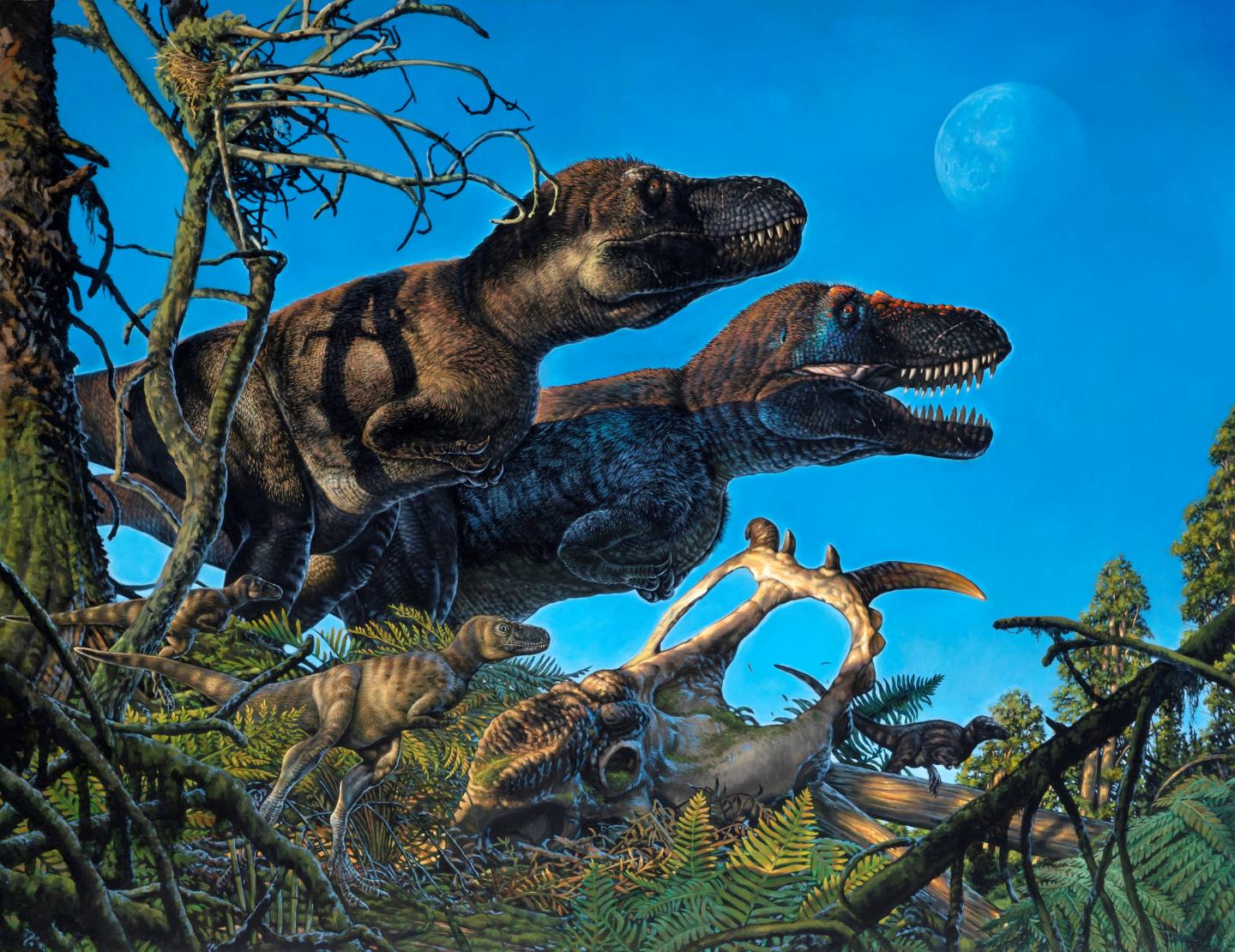 Dinosaurs lived and nested in the Arctic.