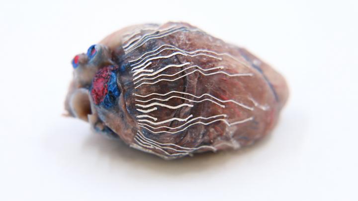 Biocompatible ink for biosensors improve tussue recording and imaging.