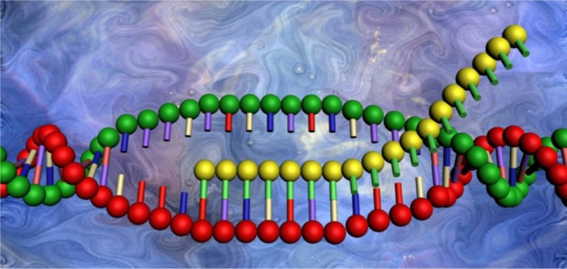 New research suggests RNA can be converted into DNA.