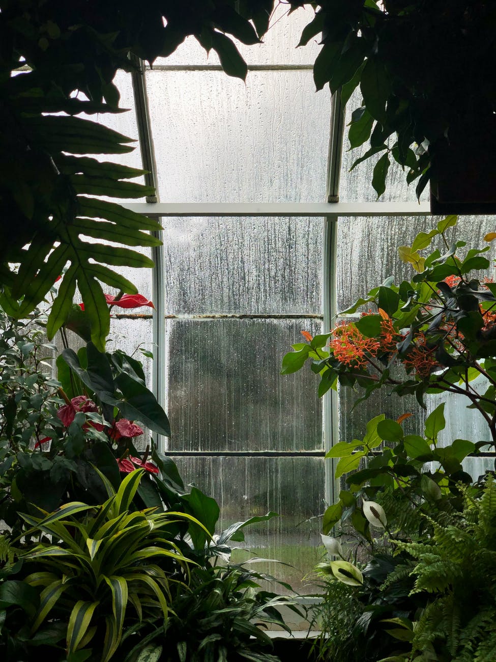 Human pollution has altered the Earth’s water cycle.