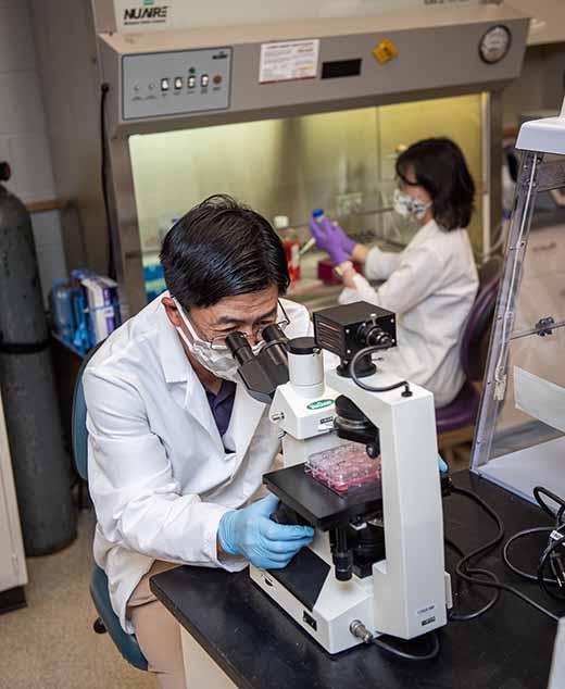 Protease inhibitor performs well as a treatment for COVID-19 infection.