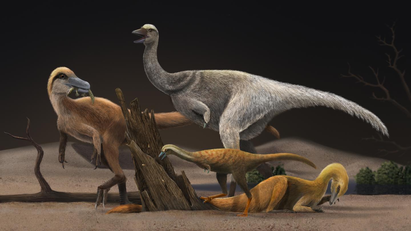 Termite eating dinosaurs grew smaller over time.