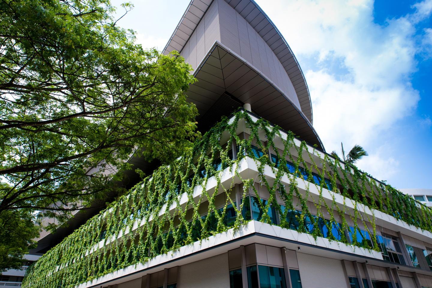 Vertical gardens can keep population’s stress levels down.