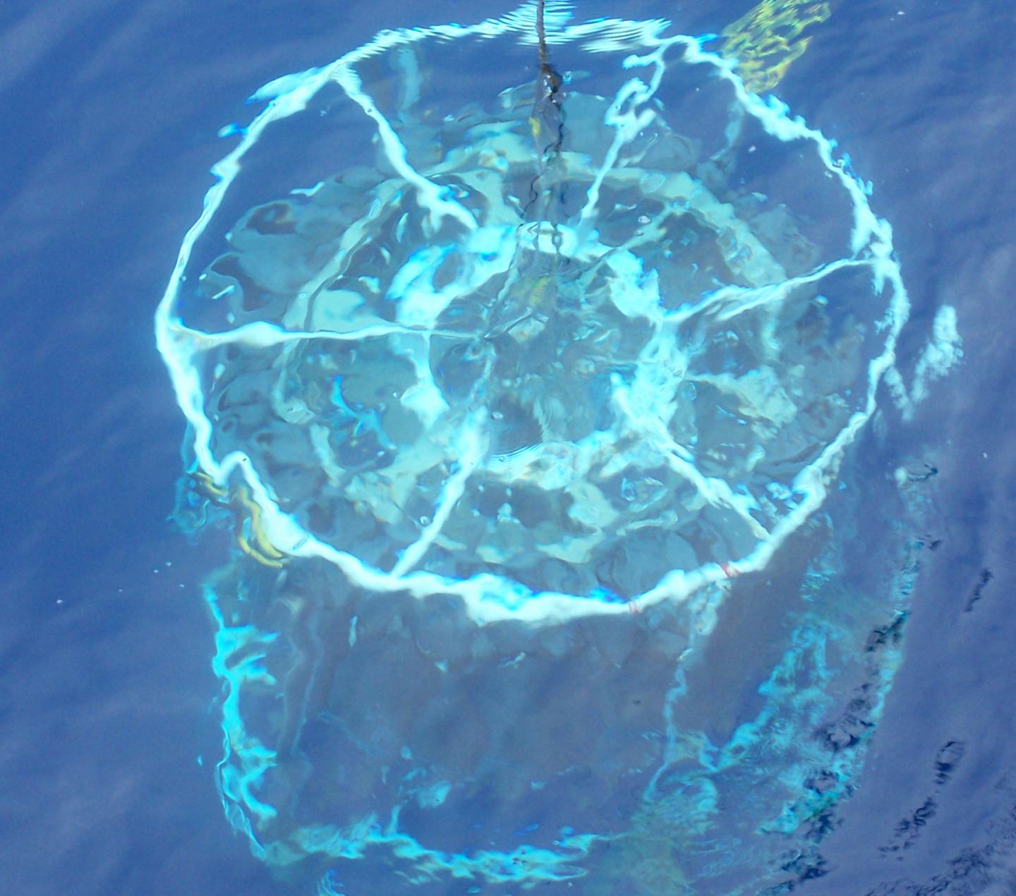 Deep sea dynamics may have global implications on land and air.