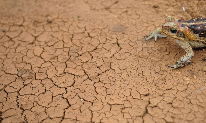 Climate change may inflict more droughts and higher temps on South America.