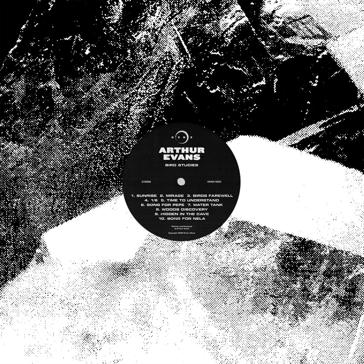 MONO: Woods Discovery by Arthur Evans