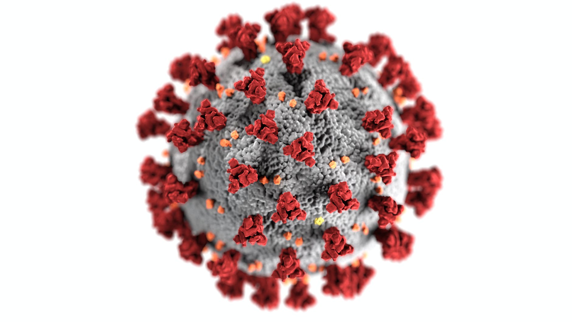 The Daily Dose: How a CDC illustration of the coronavirus became the pandemic’s iconic image.