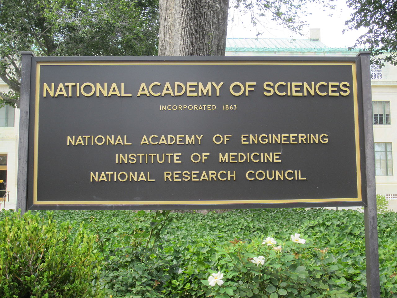 Big Pharma dropped a lot of cash for a favorable National Academy of Sciences report.