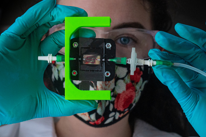 Smart materials used to create insulin -producing implant.