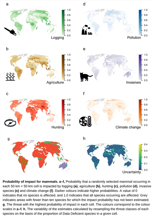 New model identifies location of global threats to biodiversity.