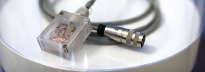 Russian researchers present ultra-precise brain imaging tool.