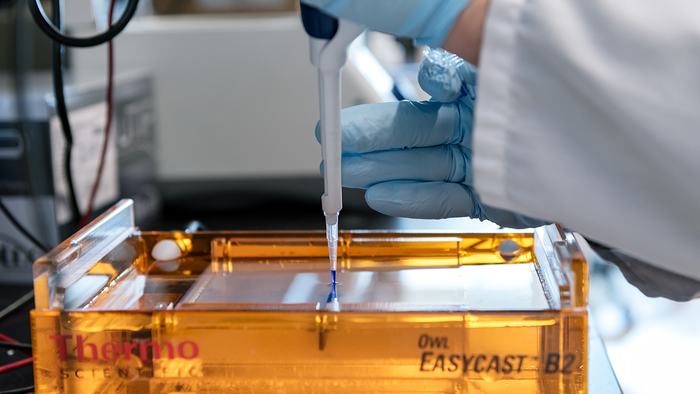 Scientists have not given up on finding a cure for HIV/AIDS.