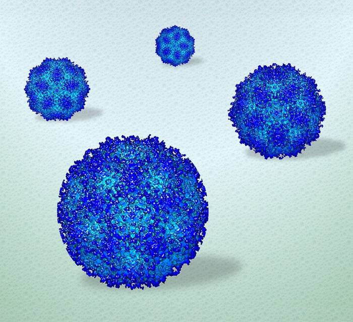 Researchers film viruses in stunning detail.