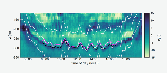 Zooplankton take travel cues from the clouds.